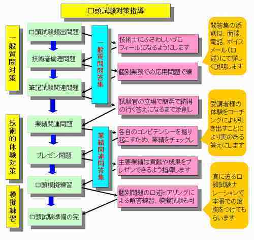 口答試験対策指導の流れ