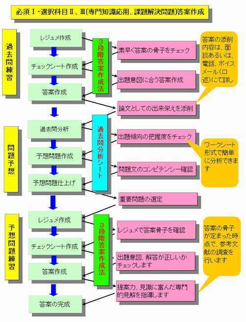 必須Ⅰ、選択Ⅱ、Ⅲ論文対策指導の流れ