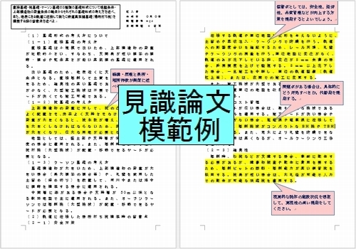 見識論文　模範解答